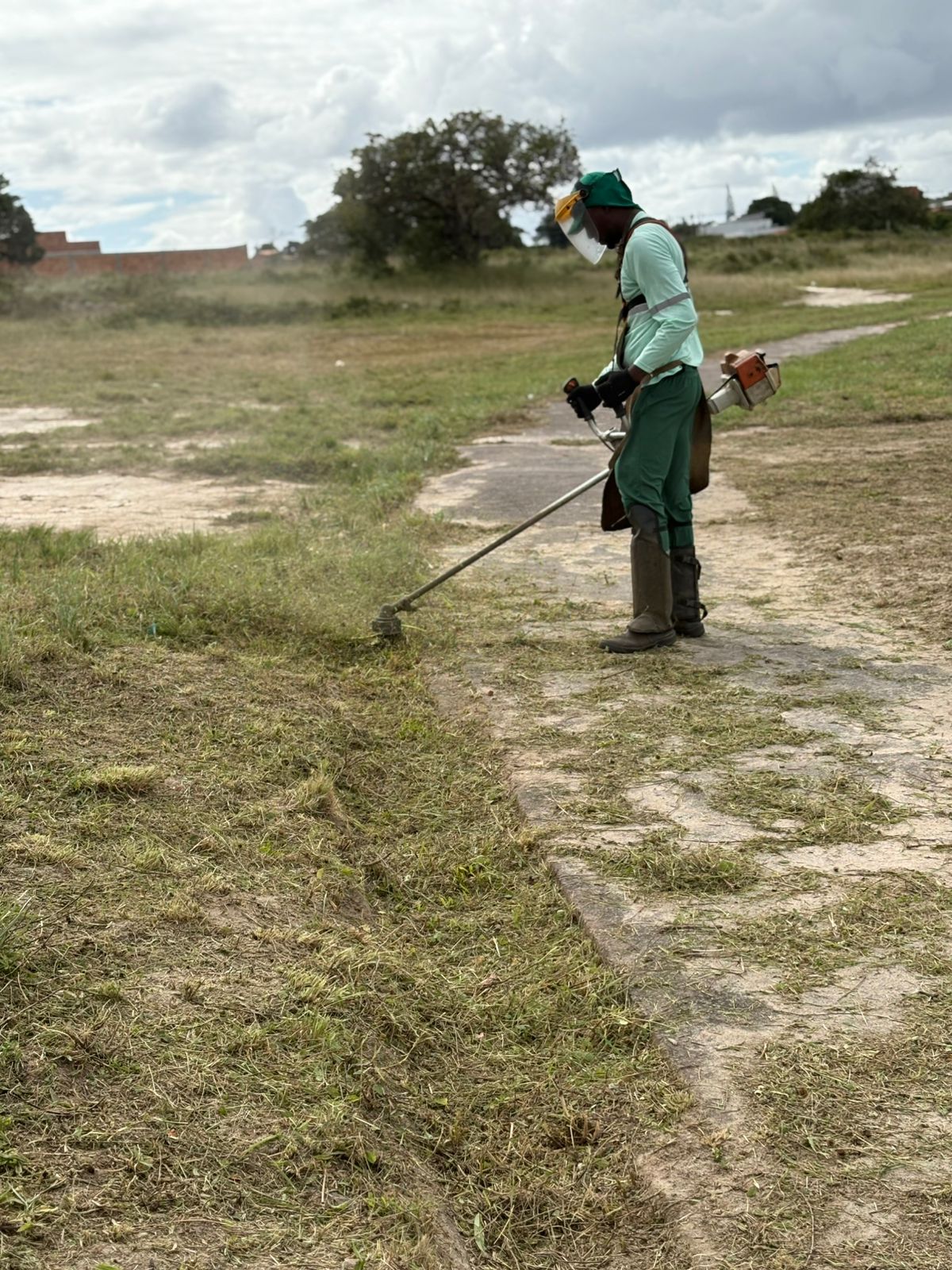 Plantio de mudas em área revitalizada